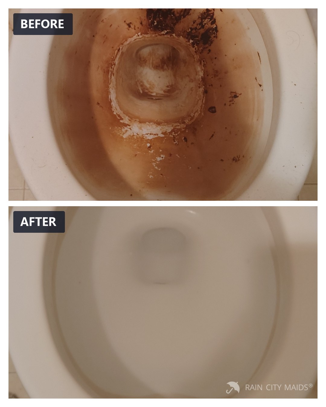 Toilet before and after cleaning, Redmond